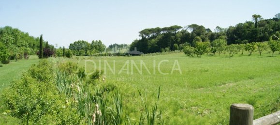 15-Zimmer Haus in Prato, Italy, Nr. 233173 94