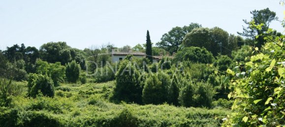 15-Zimmer Haus in Prato, Italy, Nr. 233173 82