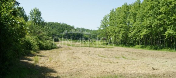 15-Zimmer Haus in Prato, Italy, Nr. 233173 86