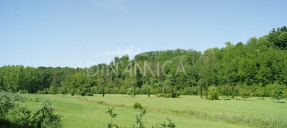 15-Zimmer Haus in Prato, Italy, Nr. 233173 90