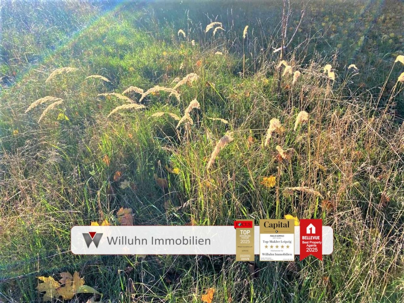  Land in Nordsachsen, Germany No. 258898