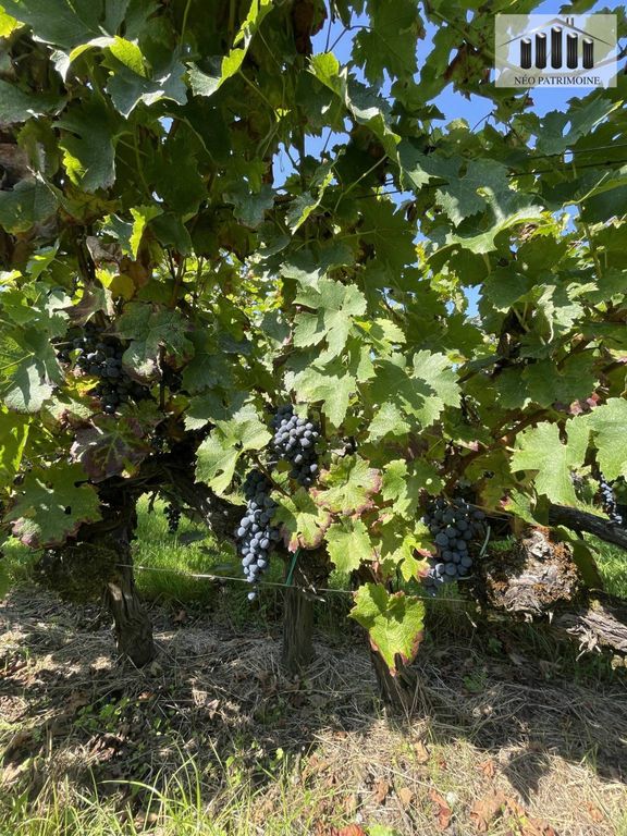 5 chambres Châteaux à Cubnezais, France No. 110613