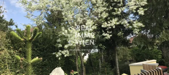 10-salle Villa à Klosterneuburg, Austria No. 147868 5