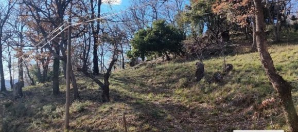 Terreno em Collobrieres, France 10970 m² N.º 325974 3