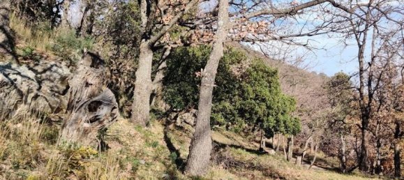 Terreno em Collobrieres, France 10970 m² N.º 325974 4