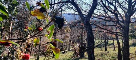 Terreno em Collobrieres, France 10970 m² N.º 325974 5