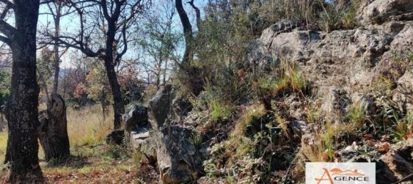 Terreno em Collobrieres, France 10970 m² N.º 325974 2