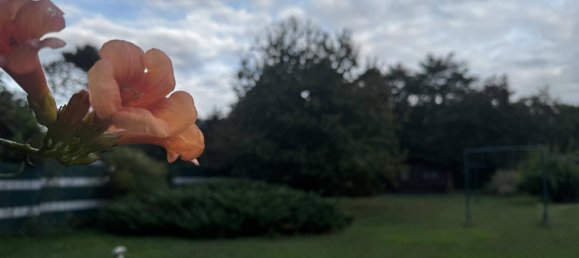 Casa de 3 dormitorios en Katzelsdorf, Austria No. 234430 19