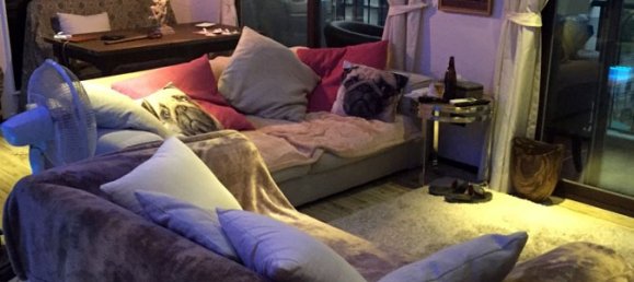 2 Schlafzimmer Eigentumswohnung in Pattaya, Thailand, Nr. 761 12