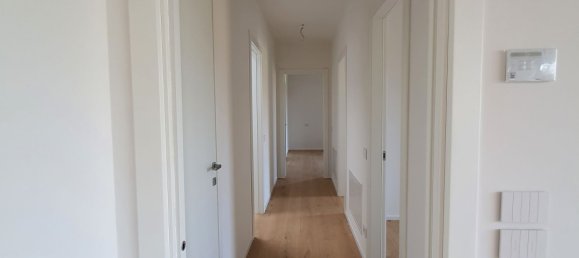 5 rooms Apartment in Mogliano Veneto, Italy No. 58667 5