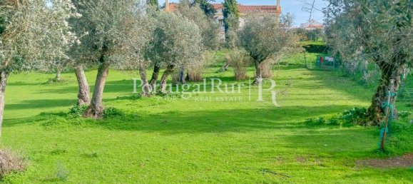 5 bedrooms House in Arraiolos, Portugal No. 136303 29