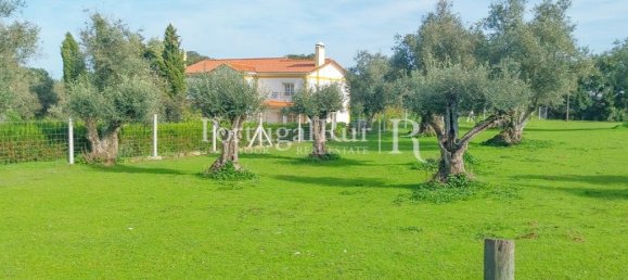 5 bedrooms House in Arraiolos, Portugal No. 136303 28