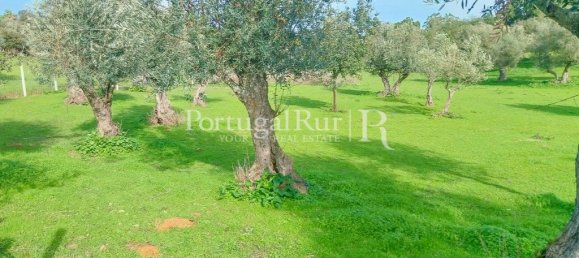 5 bedrooms House in Arraiolos, Portugal No. 136303 32