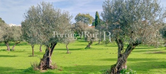 5 bedrooms House in Arraiolos, Portugal No. 136303 30