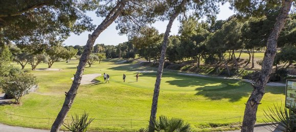 Bungalow de 3 dormitorios en Orihuela, Spain No. 16505 25