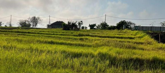 600m² Land in Tabanan, Indonesia No. 3929 6