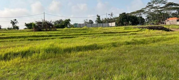 600m² Land in Tabanan, Indonesia No. 3929 2
