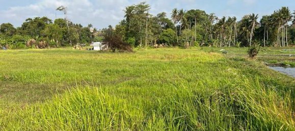 600m² Land in Tabanan, Indonesia No. 3929 7