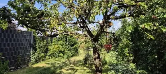 Таунхаус с 3 спальнями в Дюрен, Германия № 229960 7