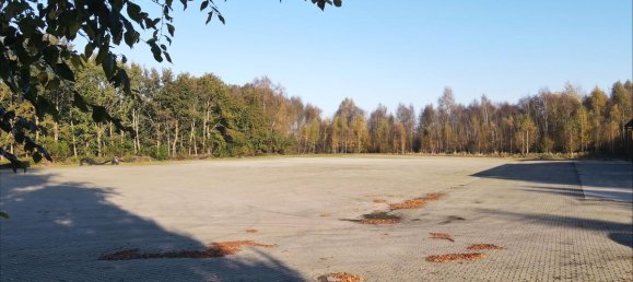 Terreno en Emsland, Germany 24000 m² No. 160153 6