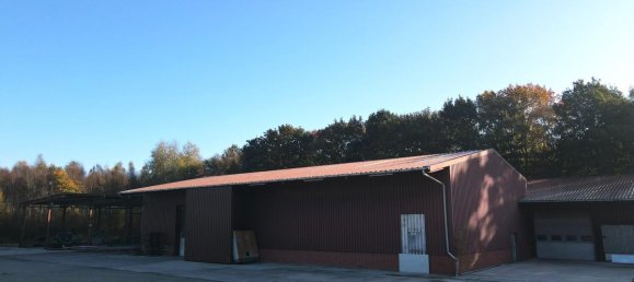 Terreno en Emsland, Germany 24000 m² No. 160153 5