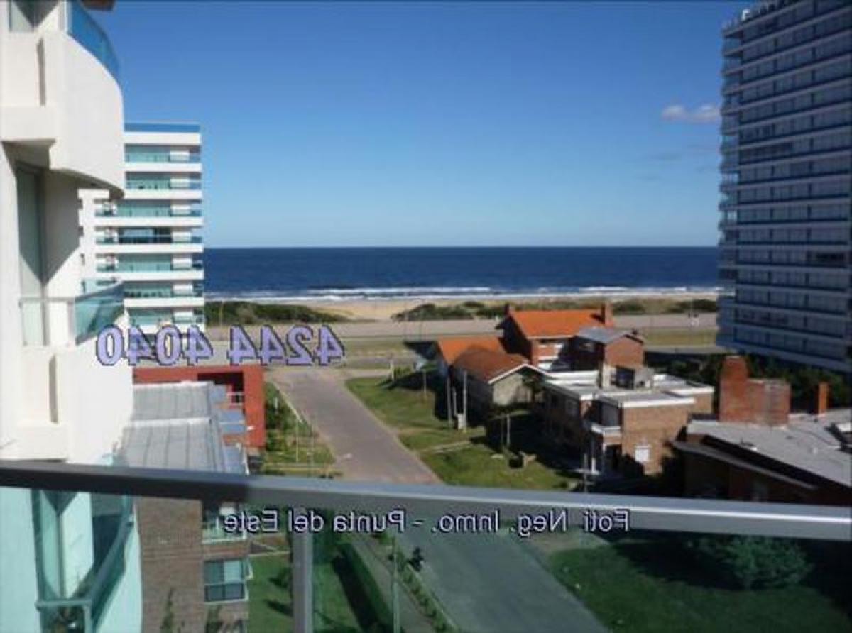 Квартира с 3 спальнями в Пунта-дель-Эсте, Уругвай № 8560