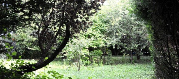 3-Zimmer Haus in Hornstein, Austria, Nr. 218747 16