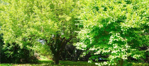 3-Zimmer Haus in Hornstein, Austria, Nr. 218747 14