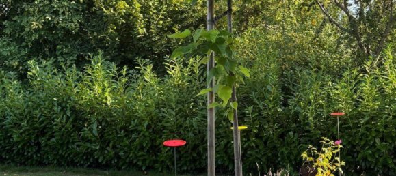 5-Zimmer Stadthaus in Rosenheim, Germany, Nr. 292531 6