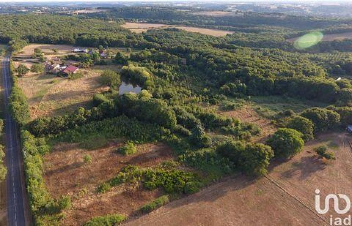 Casa de 4 dormitorios en Persac, France No. 26675