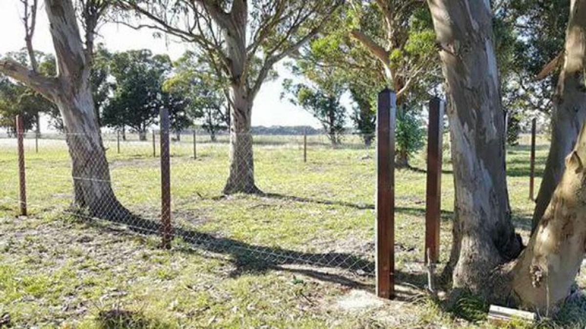 Terreno en Mar del Plata, Argentina No. 116509