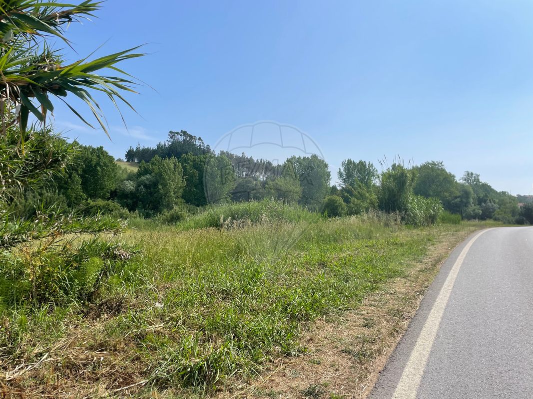  قطعة أرض في Alcobaca, Portugal 2720متر مربع رقم 60655