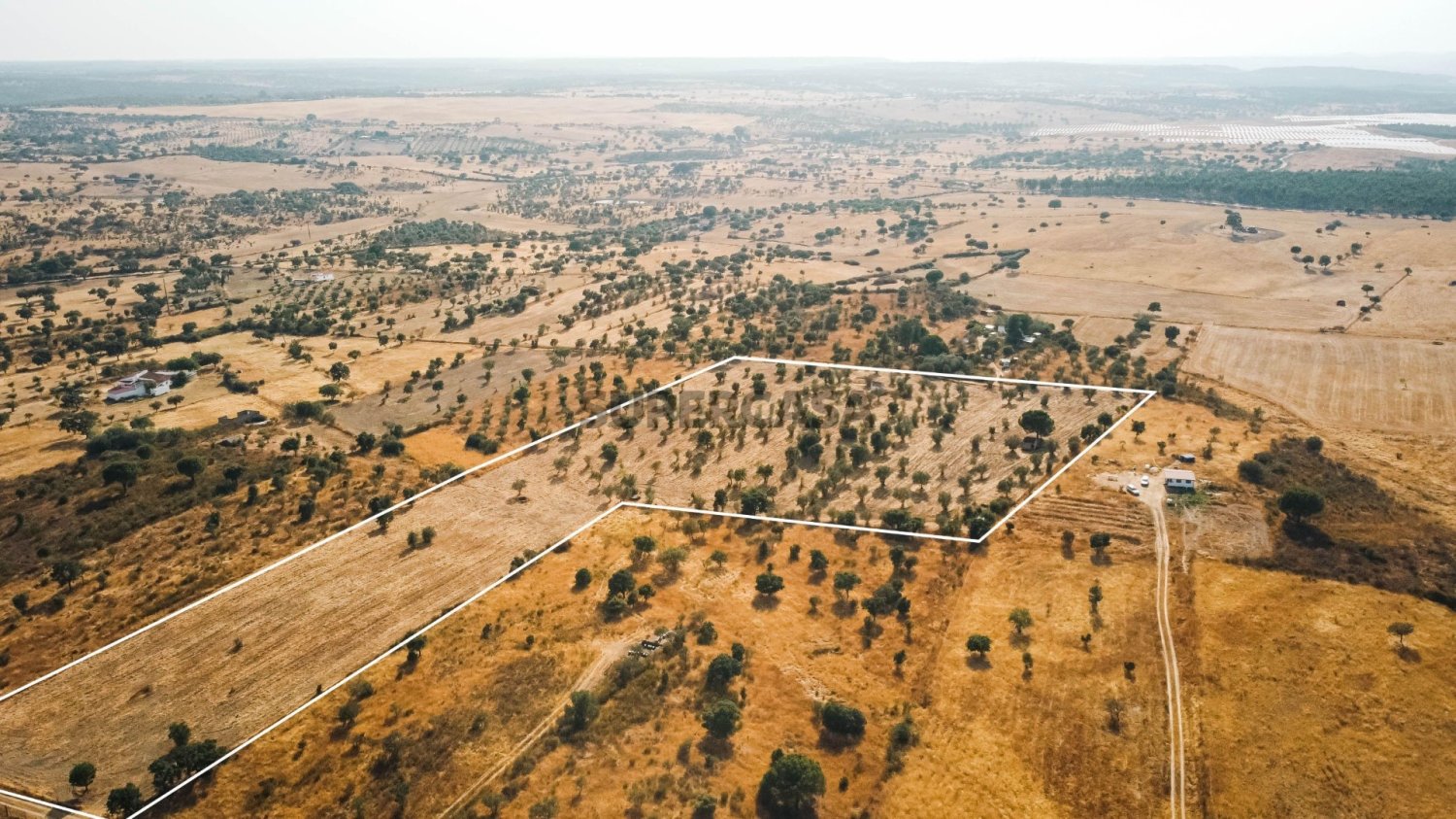  Land in Nisa, Portugal No. 326670