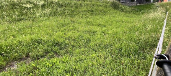 738m² Land in Bad Mitterndorf, Austria No. 165565 3