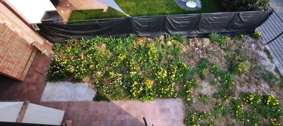 5 rooms House in Povegliano, Italy No. 226504 48