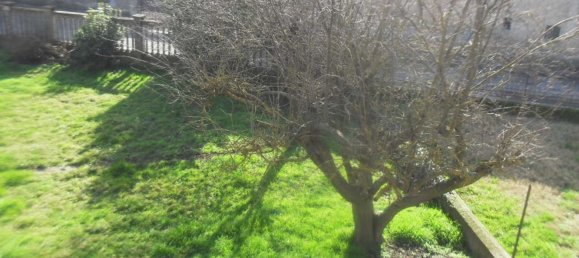 3 rooms Villa in Breme, Italy No. 75114 21