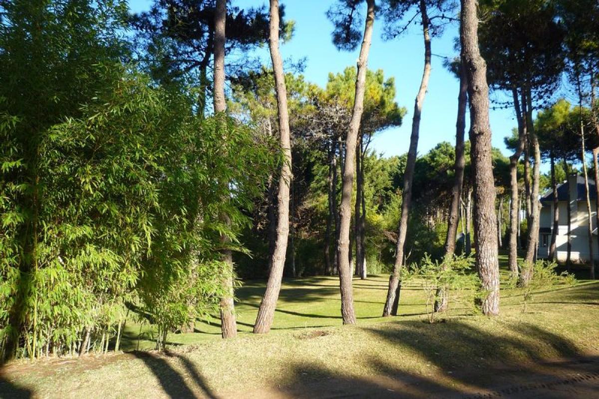 Grundstück in Mar del Plata, Argentina, Nr. 120815