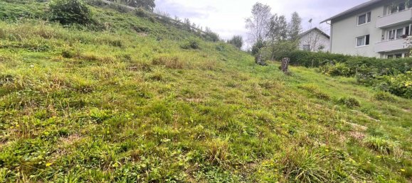  Land in Wernstein am Inn, Austria No. 49935 3
