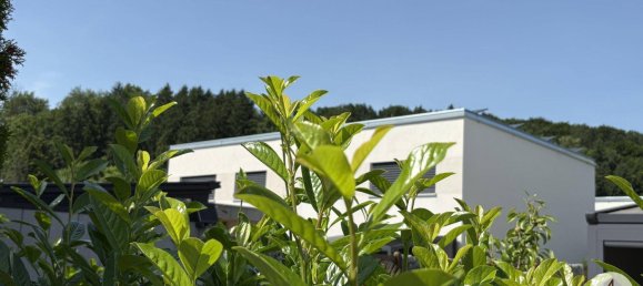 4 rooms House in Kematen an der Ybbs, Austria No. 137405 25