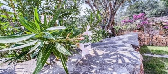 2-salle Appartement à Olbia, Italy No. 204637 52