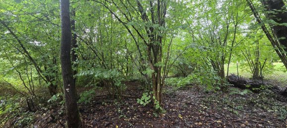 Terreno em Rhein-Neckar-Kreis, Germany N.º 287124 2