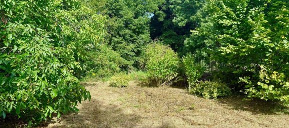 Таунхаус с 2 спальнями в Анхальт-Биттерфельд, Германия № 268250 18