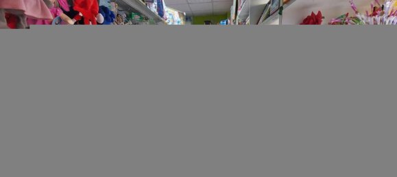  عقار تجاري في Rome, Italy 100متر مربع رقم 227723 36