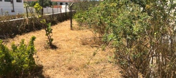 Casa de 3 dormitorios en Alter do Chao, Portugal No. 15313 12