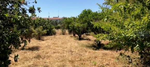 Casa de 3 dormitorios en Alter do Chao, Portugal No. 15313 13