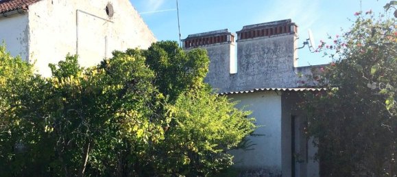 Casa de 3 dormitorios en Alter do Chao, Portugal No. 15313 11