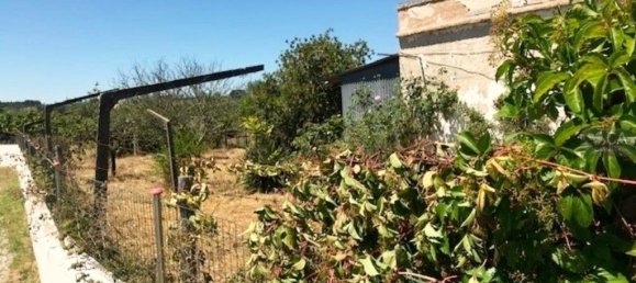 Casa de 3 dormitorios en Alter do Chao, Portugal No. 15313 15