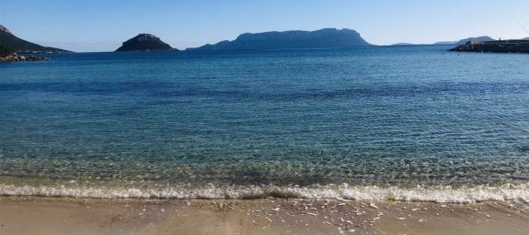 5 rooms Villa in Golfo Aranci, Italy No. 75797 30