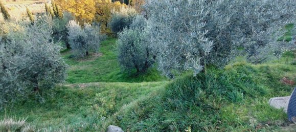 7 rooms Villa in Arezzo, Italy No. 110893 13