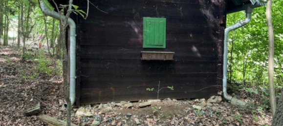  Commercial property in Kohfidisch, Austria No. 134640 7